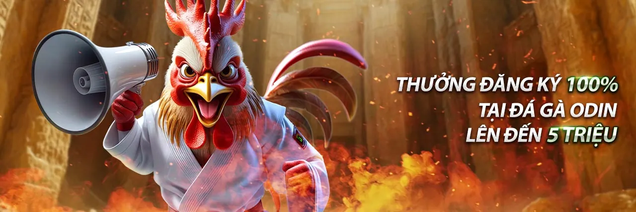 Hoàn trả hàng ngày bắn cá